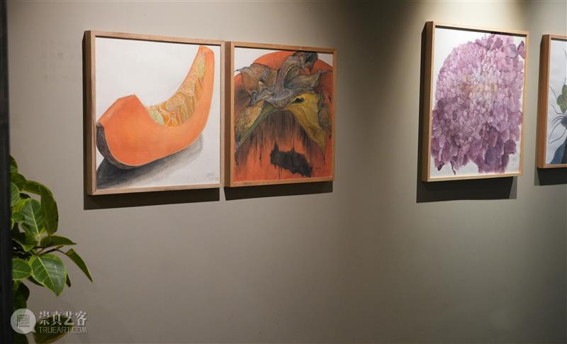 一线画廊新展微光之见 在凝视与生长中抵达 热点聚焦 一线画廊 崇真艺客